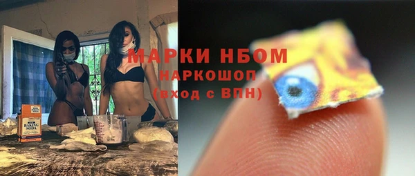 хмурый Няндома