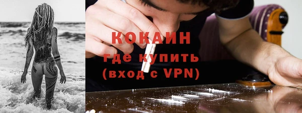 прущие грибы Нягань