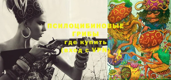 прущие грибы Нягань