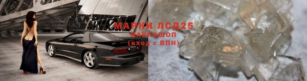 прущие грибы Нягань