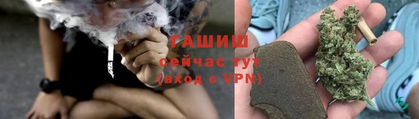 хмурый Няндома