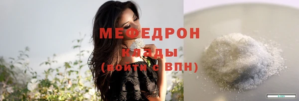 хмурый Няндома