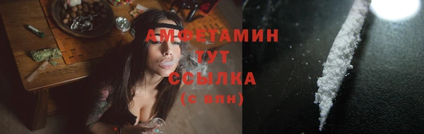 прущие грибы Нягань