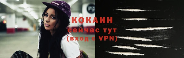 хмурый Няндома