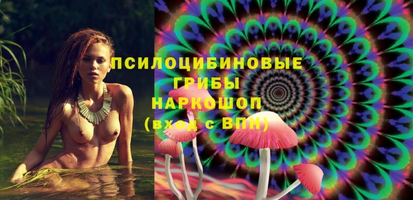 прущие грибы Нягань