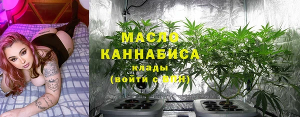 хмурый Няндома