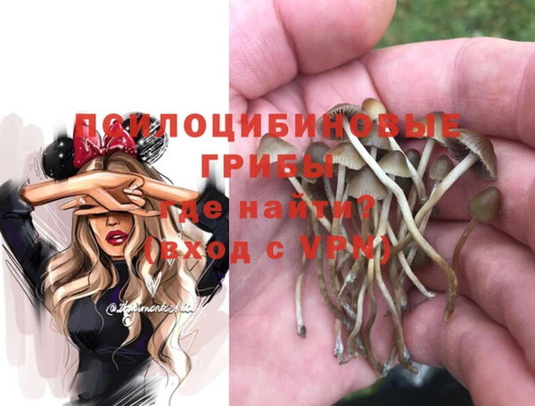 ALPHA-PVP Нязепетровск