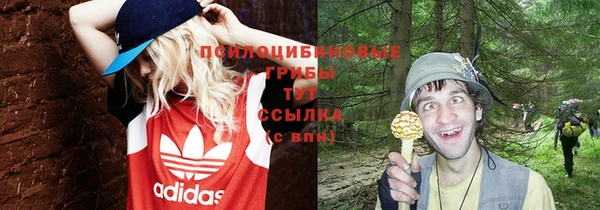 гидра Болохово