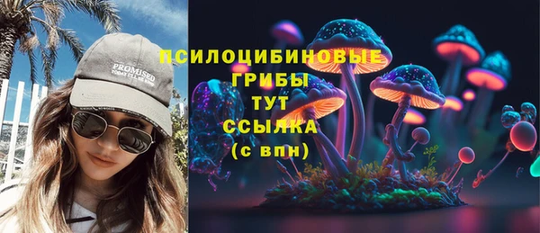 прущие грибы Нягань