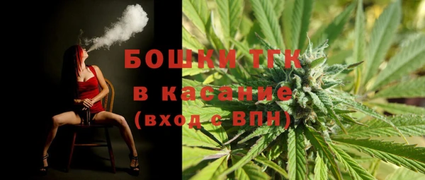 прущие грибы Нягань