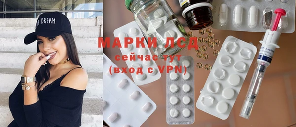 прущие грибы Нягань